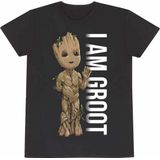 Marvel I Am Groot - I Am Groot Mens Tshirt - S - Zwart