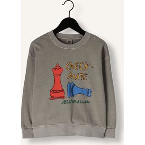 Jelly Mallow Check Mate Pignment Sweatshirt Truien & Vesten Jongens - Sweater - Hoodie - Vest- Khaki - Maat 104/110