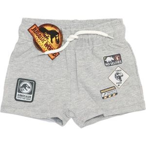 Jurassic World - korte broek - shorts - voor kinderen - van zacht katoen - grijs - maat 122/128