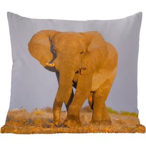 Sierkussens - Kussentjes Woonkamer - 40x40 cm - Afrikaanse olifant in het zand