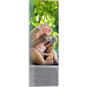PVC Schuimplaat - Drinkende Baby Aap bij Etende Moeder - 20x60 cm Foto op PVC Schuimplaat (Met Ophangsysteem)