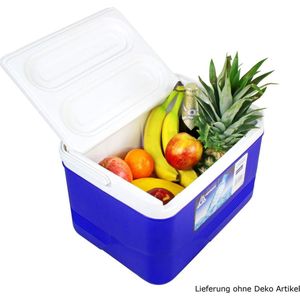 Polarcooler Koelbox 14 Liter - Blauw wit - Handvat - Coolbox - IJsbox Camping - Thermobox