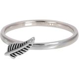 iXXXi Vulring Symbol Feather Zilver | Maat 20