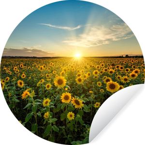 Behangcirkel - Bloemen - Zonnebloem - Geel - Lucht - Zelfklevend behang - 50x50 cm - Behang cirkel - Behang zelfklevend - Rond behang - Wanddecoratie rond