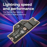 Crucial - LPCAMM2 - LPDDR5X - 62GB RAM - Zwart - 3750 MHz