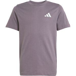 adidas Performance MERCEDES - AMG PETRONAS FORMULA ONE TEAM PREMIUM WOVEN GRAPHIC T-SHIRT - Kinderen - Grijs