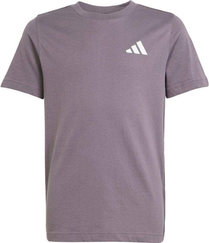 adidas Performance MERCEDES - AMG PETRONAS FORMULA ONE TEAM PREMIUM WOVEN GRAPHIC T-SHIRT - Kinderen - Grijs