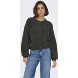 JDY - JDYEIRA LIFE ONECK - Vest - Dames - Gebreid - Lange Mouwen