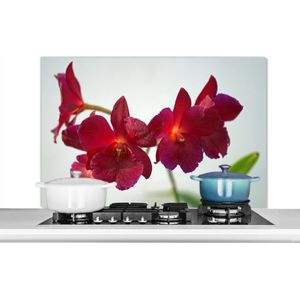 Spatscherm keuken 100x65 cm - Kookplaat achterwand Rode orchideeën tegen een witte achtergrond - Muurbeschermer - Spatwand fornuis - Hoogwaardig aluminium