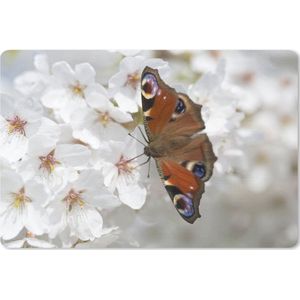 Bureau mat - Dagpauwoog vlinder op kersenbloesem - 60x40