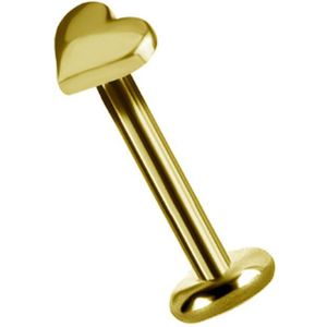 18 Karaat Schattige Hartje Oor Piercing