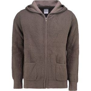 Courier Fluffy Vest Taupe - Heren Vesten met rits - Hoodie Heren - Huispak - Ultra Zacht - Kerst Vest - Wintertrui - Vest Heren