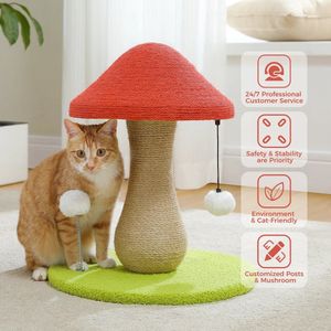 Paddestoel Krabpaal - huisdier - Kattenspeeltje - Interactief katten speelgoed