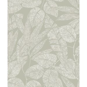 DUTCH - WALLCOVERINGS - DUTCH - WANDBEKLEDING - Behang - Lorena - Imotif - Groen