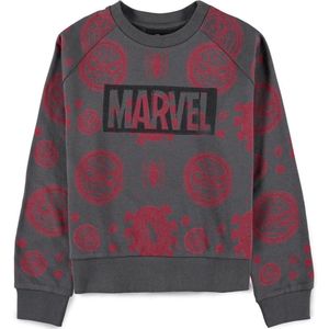 Marvel Spider-Man - Allover Pigment Print Sweater/trui kinderen - Kids 122 - Grijs