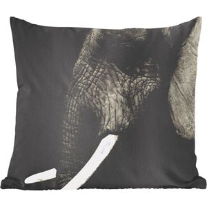 Sierkussens - Kussen - Close-up van een olifant op een zwarte achtergrond - 50x50 cm - Kussen van katoen