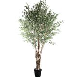 PTMD Tree Green olive tree in plastic pot - Oijfboom XXL 265 hoog - diameter 140 cm