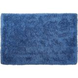 CIDE - Shaggy vloerkleed - Blauw - 160 x 230 cm - Polyester