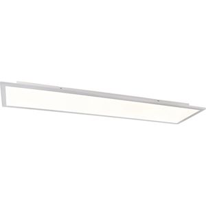 QAZQA liv - Moderne LED paneels-sPlafondlamp - 1 lichts - L 1200 mm - Staal - Woonkamers-sSlaapkamers-sKeuken