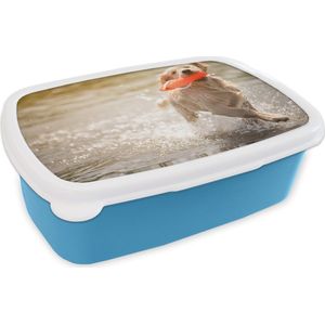 Broodtrommel Blauw - Lunchbox - Brooddoos - Een raszuivere Golden Retriever puppy rent in het water - 18x12x6 cm - Kinderen - Jongen