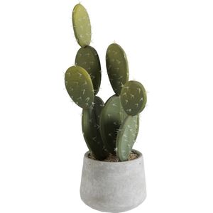 J-Line plant Cactus + Pot - kunststof/cement - groen - small