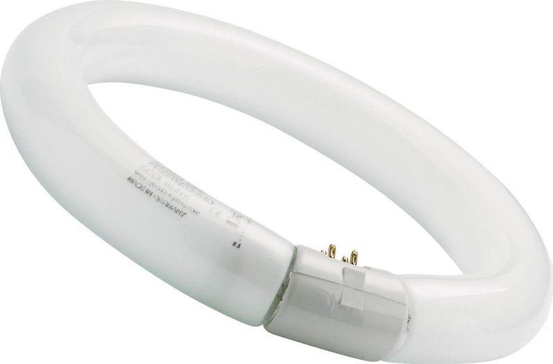 T9 - Circline - Lamp - 32W - 4000K - G10q Fitting