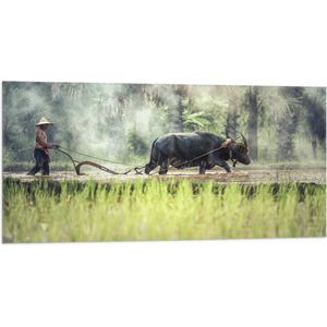 WallClassics - Vlag - Aziatische Boer aan het Werk - 100x50 cm Foto op Polyester Vlag