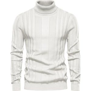 Heren coltrui met lange mouwen, casual slim fit, opstaande kraag
