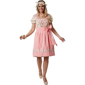 dressforfun - Mini-dirndl Herrenchiemsee model 1 XL - verkleedkleding kostuum halloween verkleden feestkleding carnavalskleding carnaval feestkledij partykleding - 302973