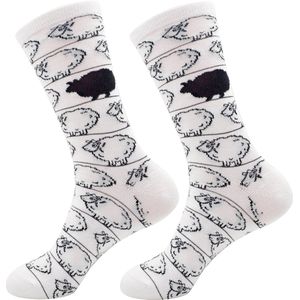 Robin Ruth - Zwarte schaap - Wit - Heren sok - Maat 41-46