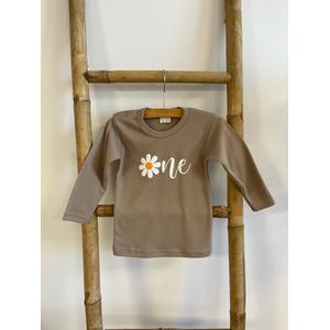 Verjaardag shirt-t shirt verjaardag-eerste verjaardag-cakesmash kleding-one-deep pink-verjaardag outfit-shirt Daisy (mt 74)