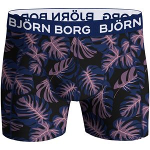 Bjorn Borg herenboxer 2 pack maat XL