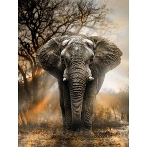 Go Go Gadget - ""Diamond Painting 30x40 cm - Volledige Bedekking, Ronde Steentjes, Premium Tools Inclusief - Olifant in Schemer