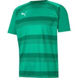 Puma Teamvision Shirt Korte Mouw Heren - Groen | Maat: S