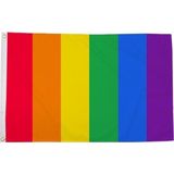 Regenboog LGBT vlag 90 x 150 cm verticale strepen - Gay pride/parade feestversiering/feestdecoratie artikelen