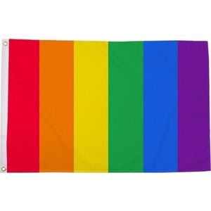 Regenboog LGBT vlag 90 x 150 cm verticale strepen - Gay pride/parade feestversiering/feestdecoratie artikelen