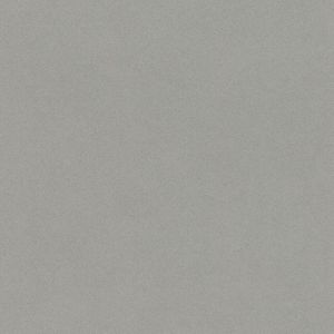 Rasch Crispy Paper Vliesbehang Uni Grijs 527025