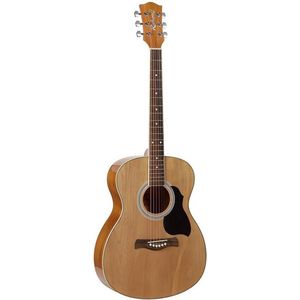 Akoestische gitaar Richwood Artist Series Auditorium RA-12