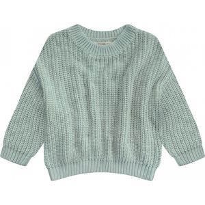 Your Wishes Knit Nevada Truien & Vesten Unisex - Sweater - Hoodie - Vest- Lichtblauw - Maat 86