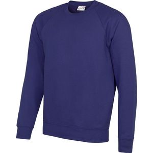 Awdis Academie Herenbemanning Hals Raglan Sweatshirt (Paars)