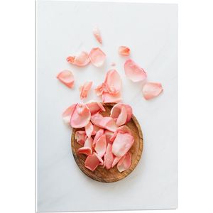 PVC Schuimplaat- Bloemblaadjes op en langs Houten Schaal - 50x75 cm Foto op PVC Schuimplaat