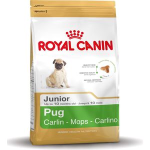 Royal Canin Mopshond/Pug Junior- Hondenvoer - 1,5 kg