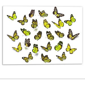 Forex - Patroon van Gifgroene Vlindertjes - 40x30cm Foto op Forex