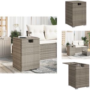 vidaXL Gasfleskast - Gasfleskasten - Kast Voor Propaanfles - Gasfleskastje - Afdekkast voor propaangasfles 40x40x60 cm Poly Rattan grijs
