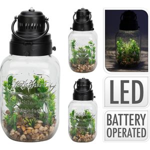 Kunstplanten in glazen pot - Batterij - LEDverlichting - vierkant - 33cm x 16cm x 16cm - batterijverlichting - onderhoudsvrij - Woondecoratie - stijlvol - rustgevend - levendige uitstraling - interieur