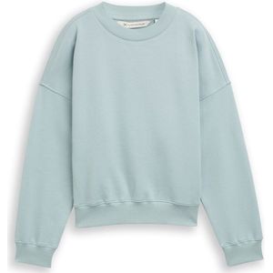 TOM TAILOR DENIM - Sweatshirt - Lichtblauw