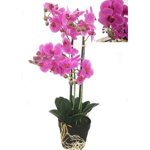 Levensechte Kunst Orchidee / Phalaenopsis plant 75 cm met pot ( 5-taks vol bloemen) kleur Roze - Kunstplant