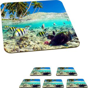 Onderzetters voor glazen - Zee - Vissen - Koraal - 10x10 cm - Glasonderzetters - 6 stuks