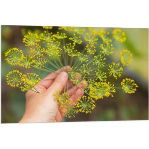 Vlag - Gele Mini Bloemen in Mensenhand - 90x60 cm Foto op Polyester Vlag