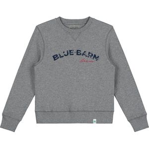 Blue Barn Jeans - sweater - grijs
